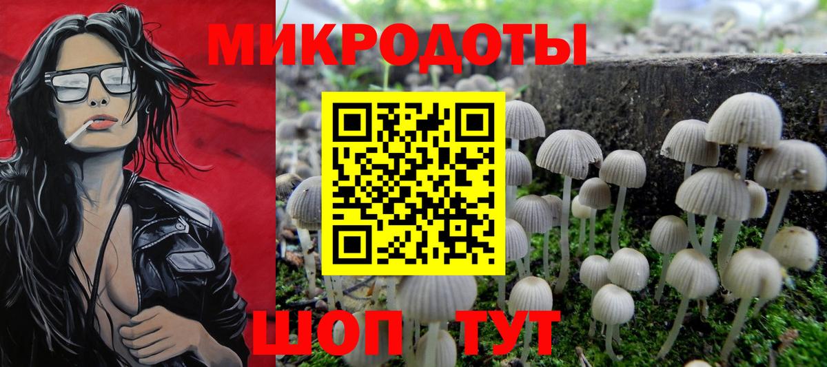 Добрянка  Галлюциногенные грибы GOLDEN TEACHER  Псилоцибиновые грибы Magic Shrooms  Вход с VPN 